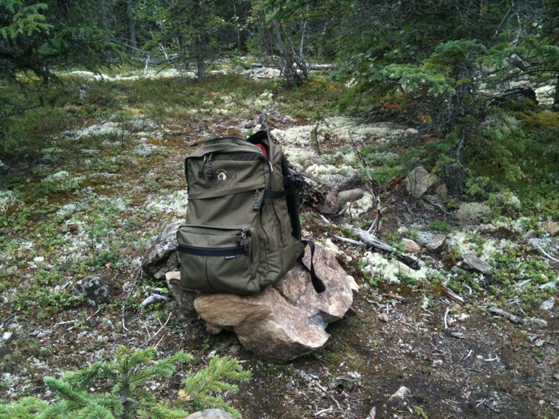 auf Alaskas state park-trails lsst sich nicht nur gut wandern und rasten ...