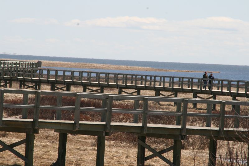 NEW BRUNSWICK, Bouctouche. Hier hat der lmagnat Irving in ein kosystem, das eine riesige Dne schtzen soll, eindrucksvoll investiert