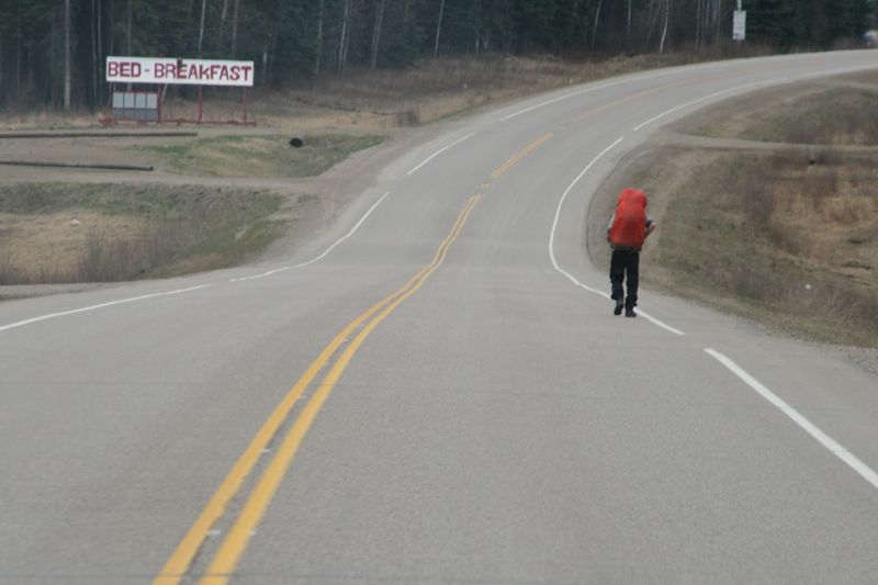 Whrend dieser einsame Wanderer sich sichtlich schwer tut mit dem Alaska Highway