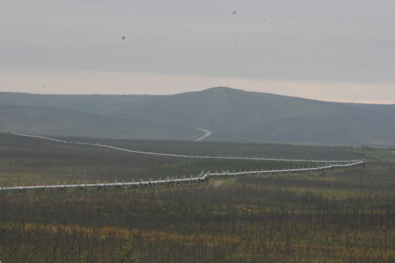 ... ist nach dreijhriger Bauzeit 1977 in Betrieb genommen worden, ist 1.280 km lang und ...