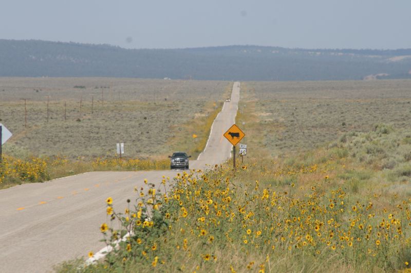 wie gesagt: LARGE. Die Weite der Landschaft, endlose Strassen, Meer an Blumen (manchmal)