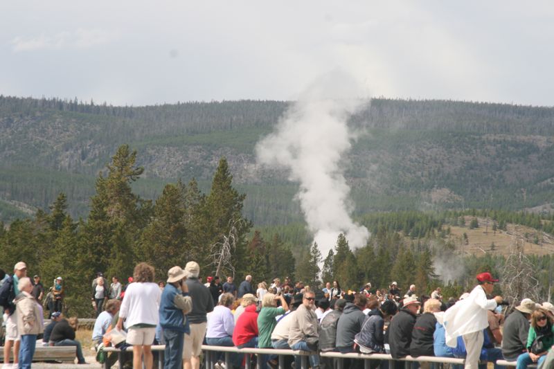 the old faithfull im Yellowstone NP. Warten auf die eruptio