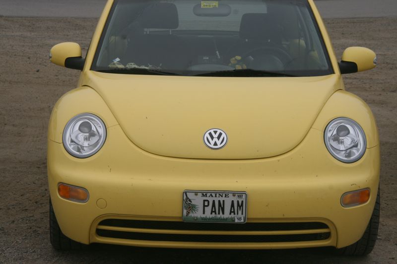 DIE Beatle-Nummer der Westkste hier an der eastern coast