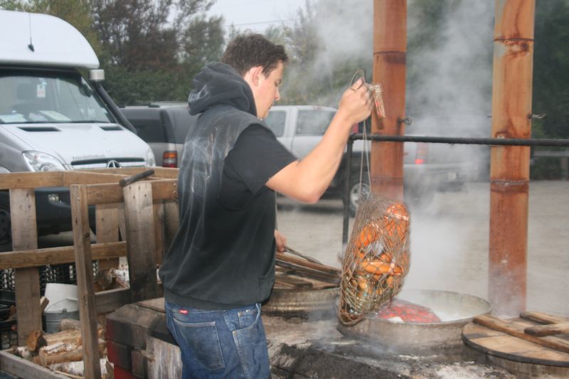 ... und direkt danach vieler lobster Tod fr viele verwhnte Gaumen